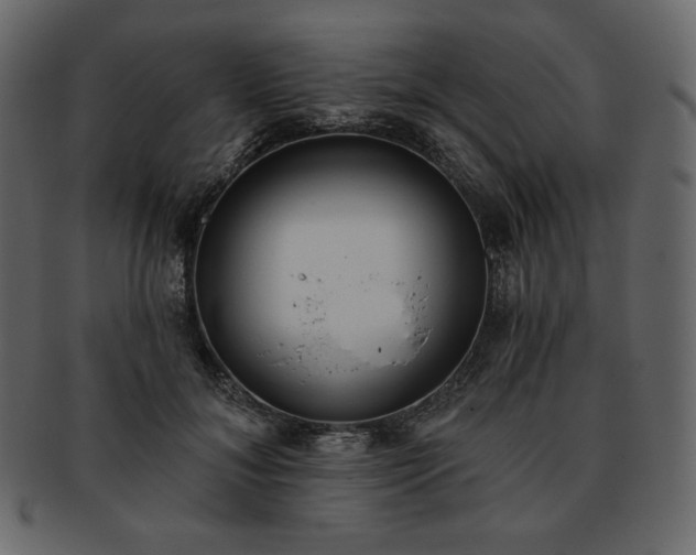 X0000093380700200710191135