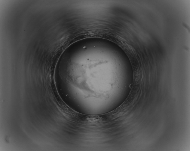 X0000093380703200710191135