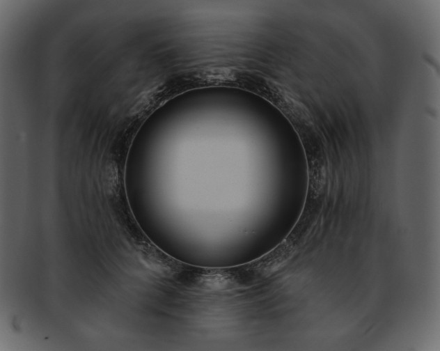 X0000093380704200710191135