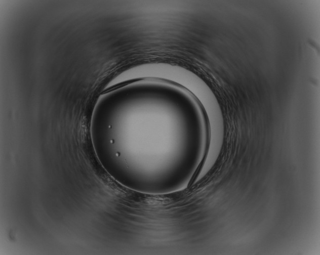 X0000093380707200710191135