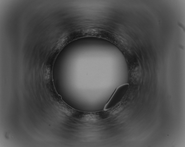 X0000093380708200710191135