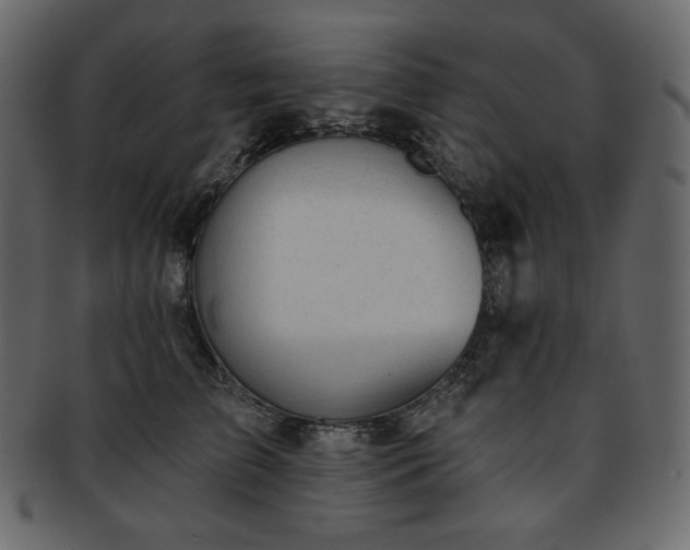 X0000093380709200710191135