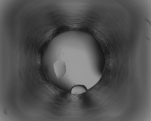 X0000093380710200710191135