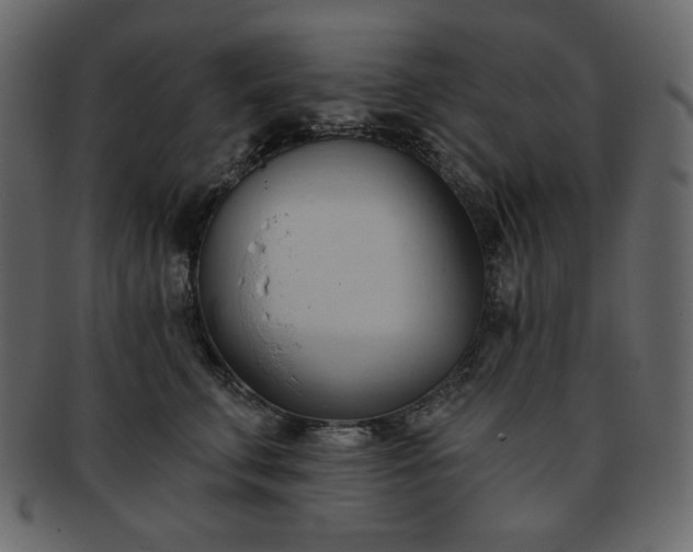 X0000093380711200710191135