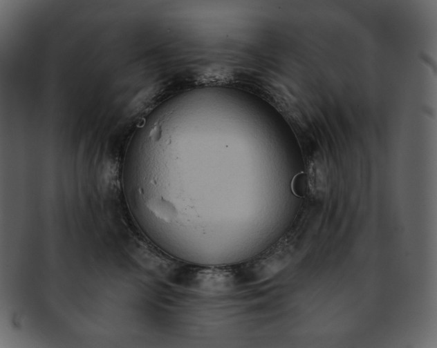 X0000093380714200710191135