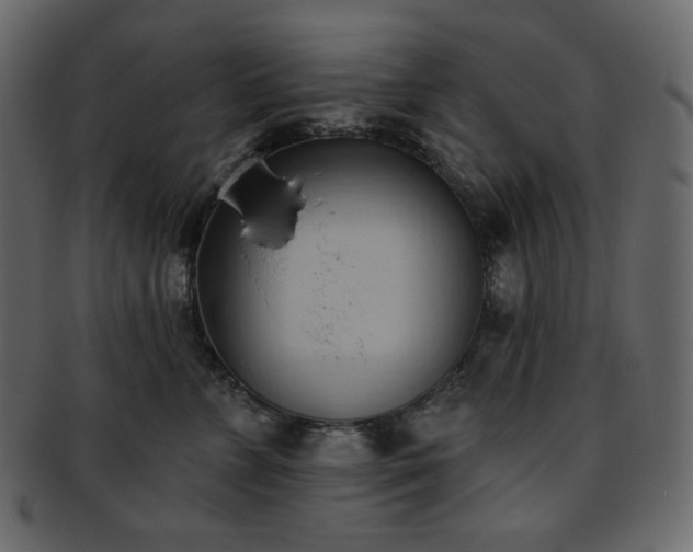 X0000093380715200710191135