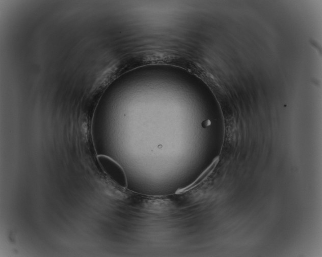 X0000093380716200710191135