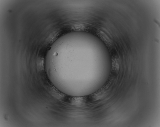 X0000093380717200710191135