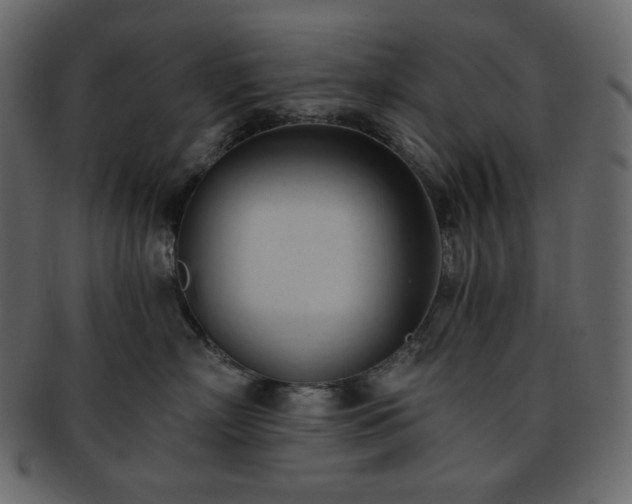 X0000093380718200710191134