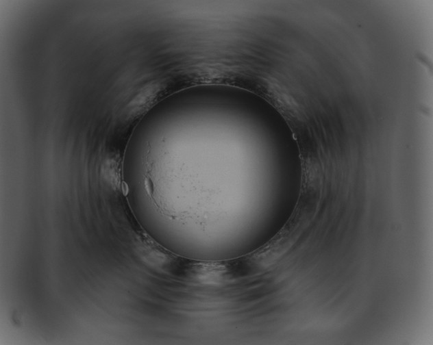 X0000093380719200710191134