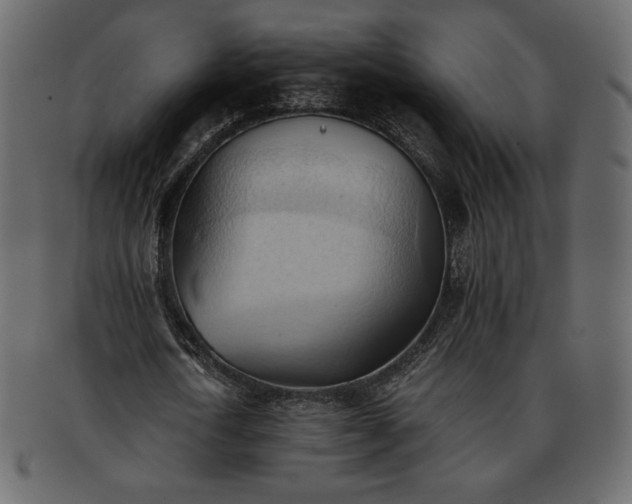 X0000093380722200710191134