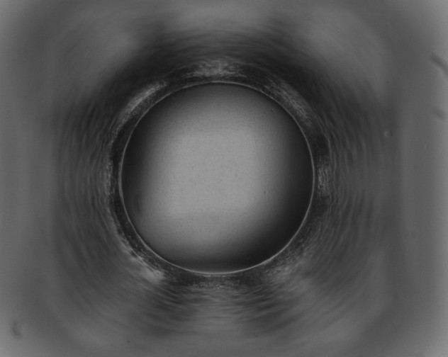 X0000093380724200710191134