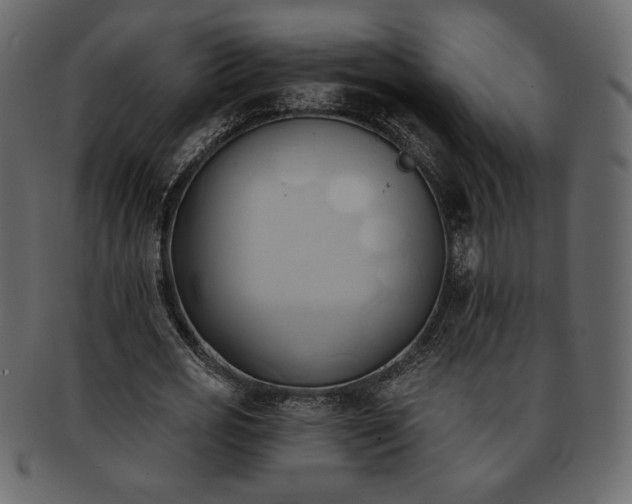 X0000093380725200710191134