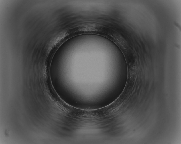 X0000093380727200710191134