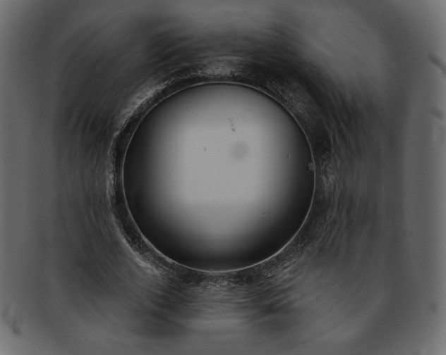 X0000093380728200710191134