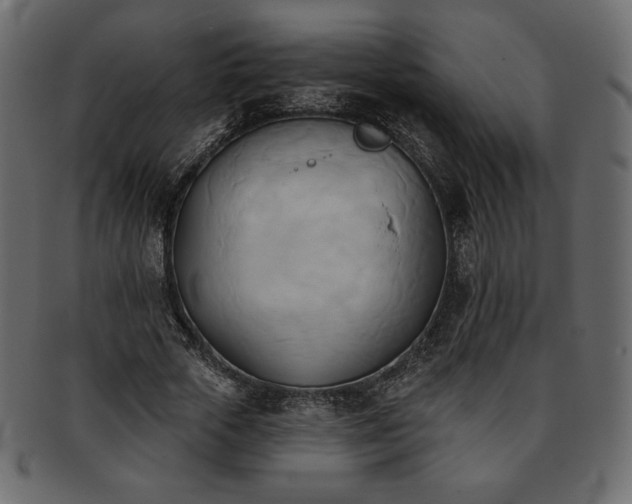 X0000093380729200710191134