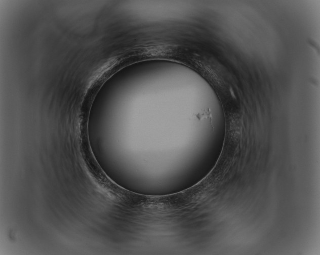 X0000093380730200710191134