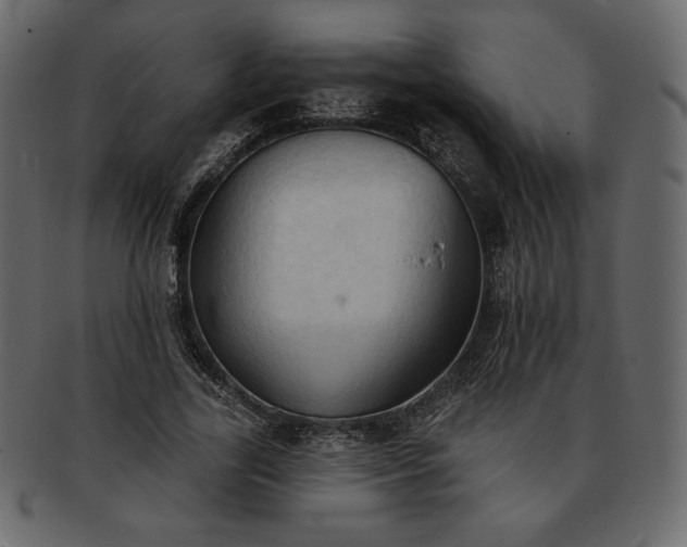 X0000093380731200710191134