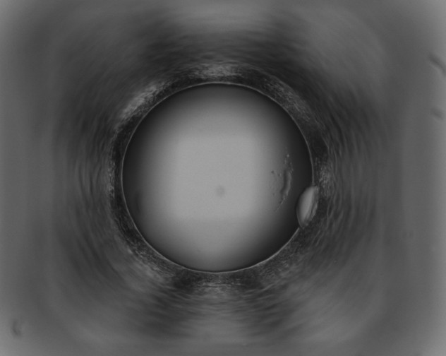 X0000093380732200710191134