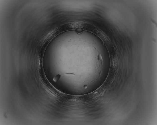 X0000093380733200710191134