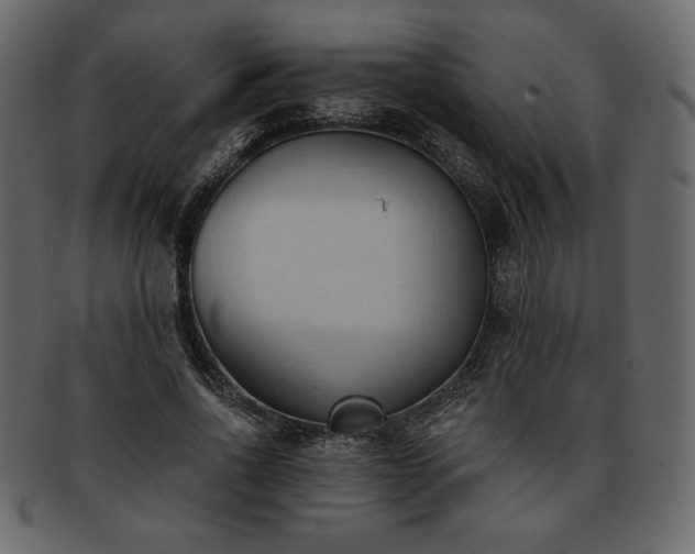 X0000093380734200710191134