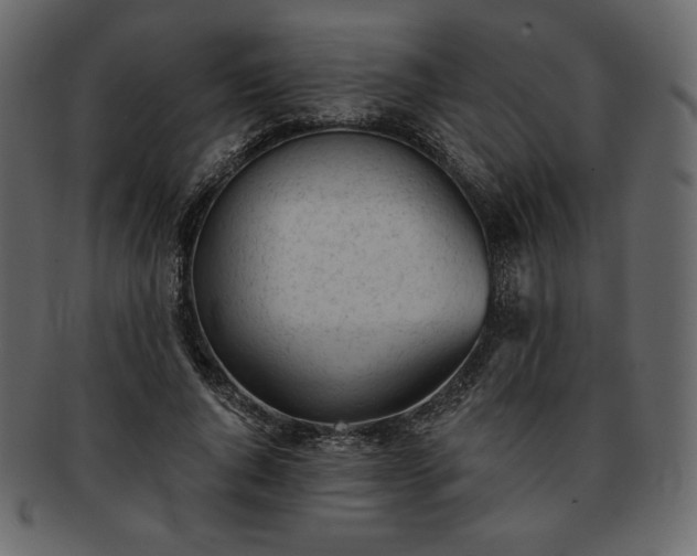 X0000093380736200710191134