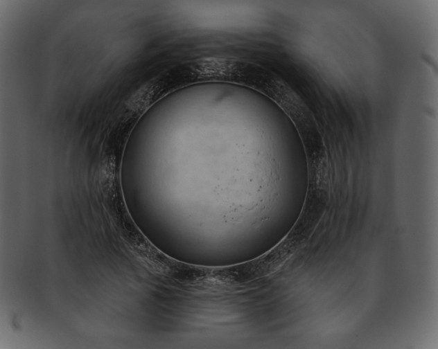 X0000093380737200710191134