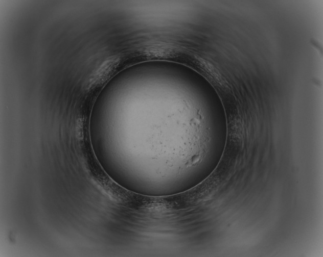 X0000093380738200710191134