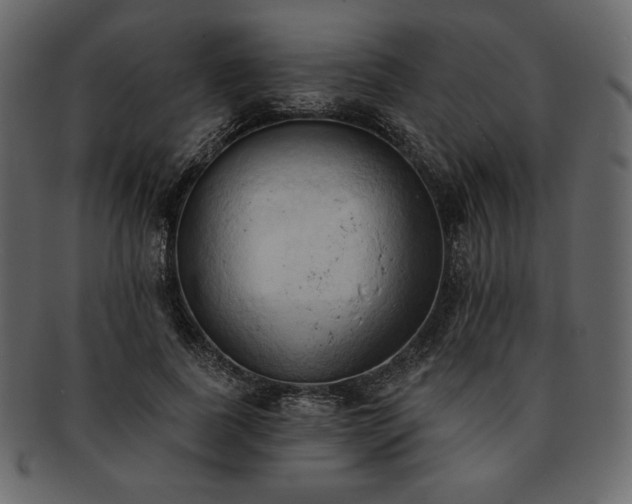 X0000093380739200710191134