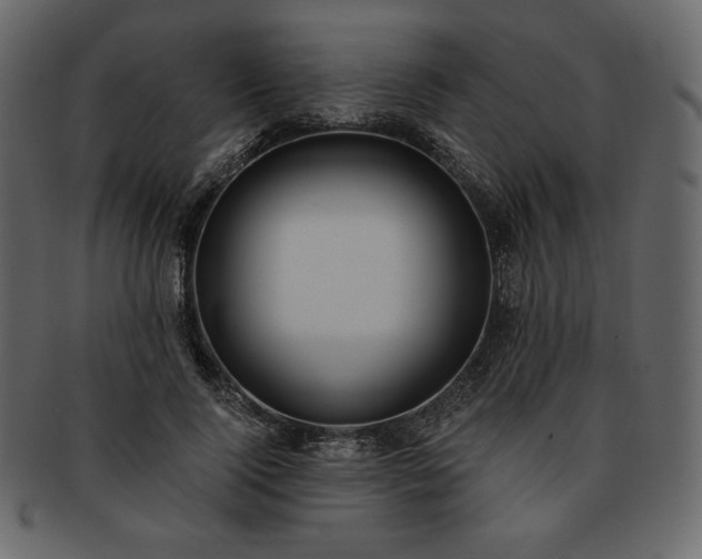 X0000093380740200710191134