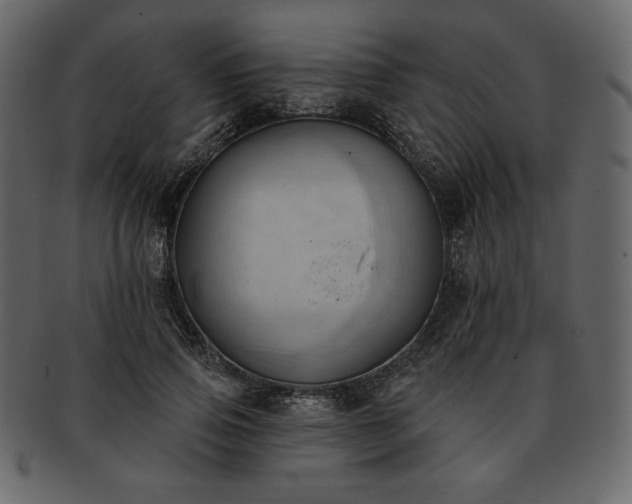 X0000093380741200710191134