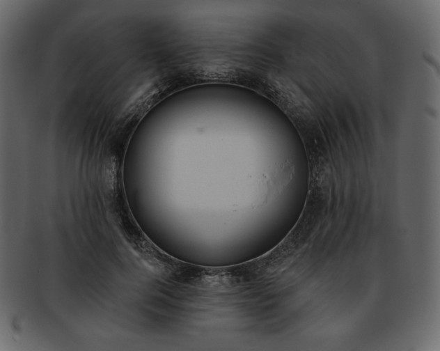 X0000093380744200710191134