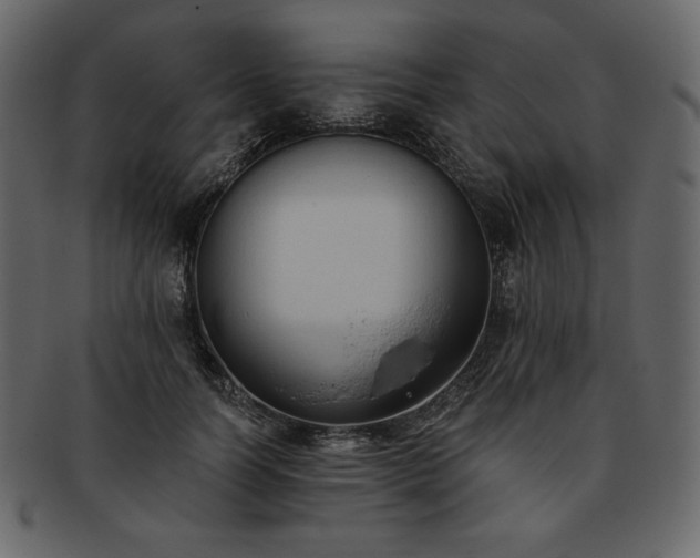 X0000093380746200710191134