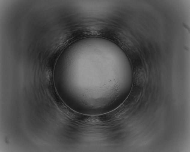 X0000093380747200710191134