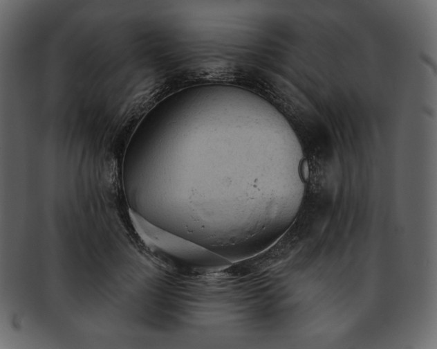 X0000093380748200710191134