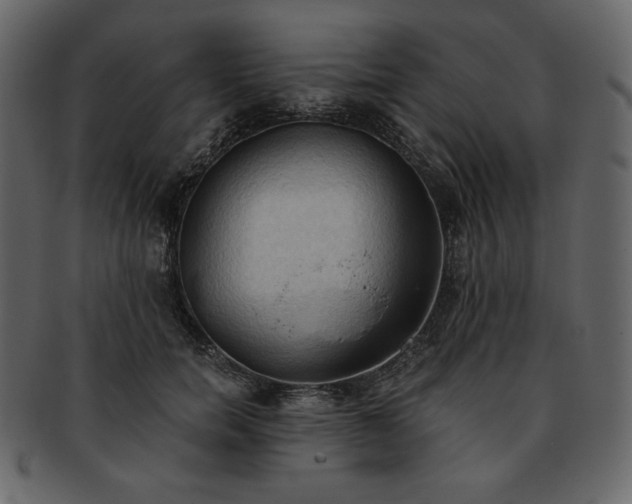 X0000093380750200710191134