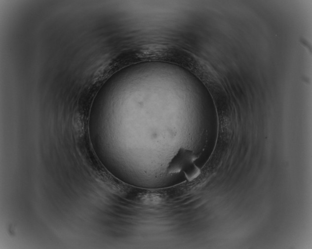 X0000093380751200710191134