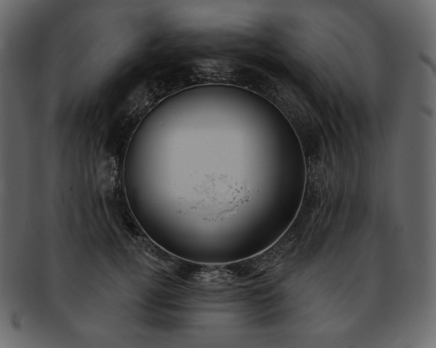 X0000093380752200710191134