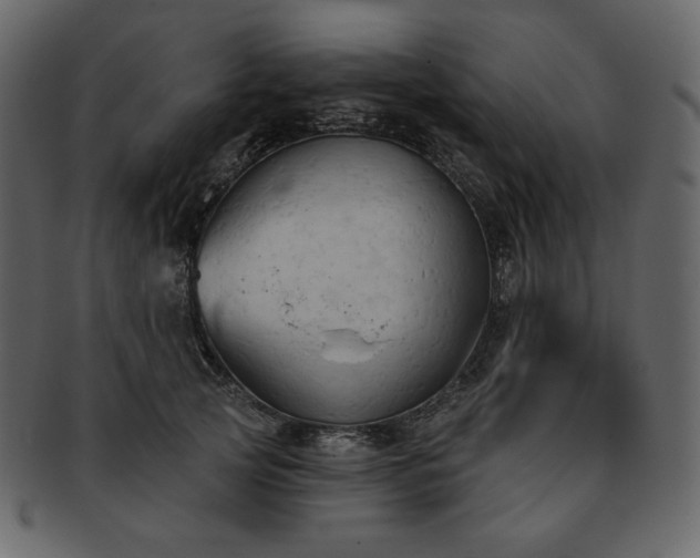 X0000093380753200710191134