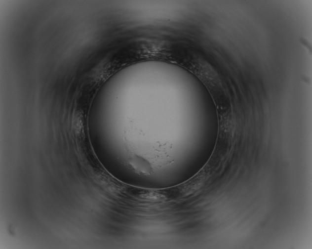 X0000093380754200710191134