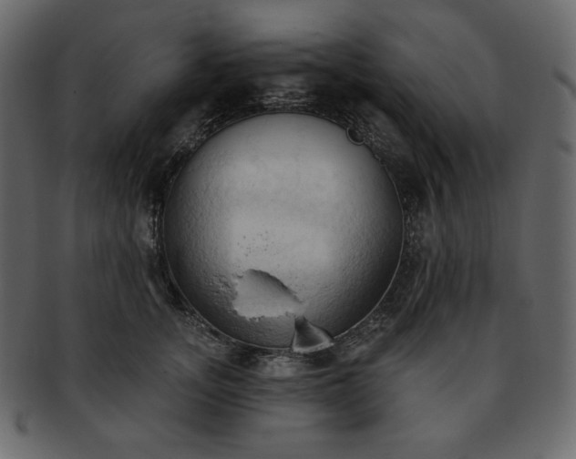 X0000093380755200710191134