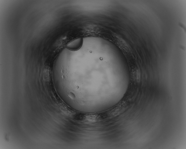 X0000093380757200710191134