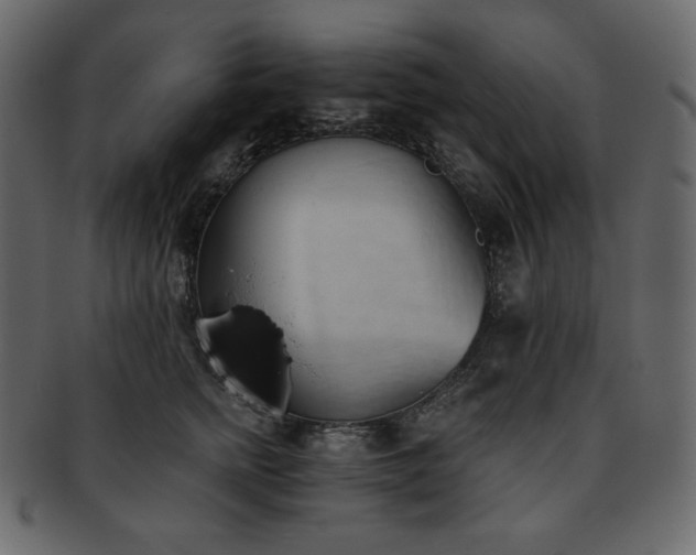 X0000093380758200710191134