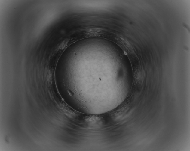 X0000093380759200710191134