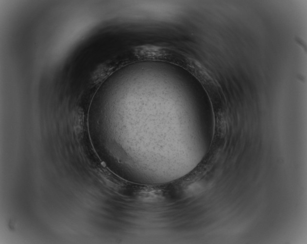 X0000093380760200710191134