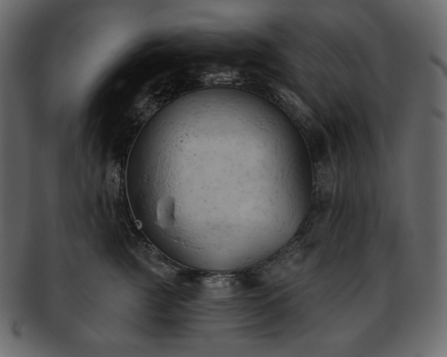 X0000093380761200710191134