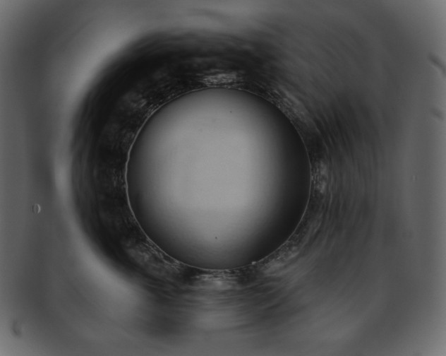 X0000093380763200710191134