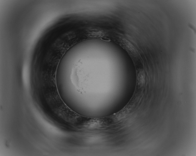 X0000093380764200710191134