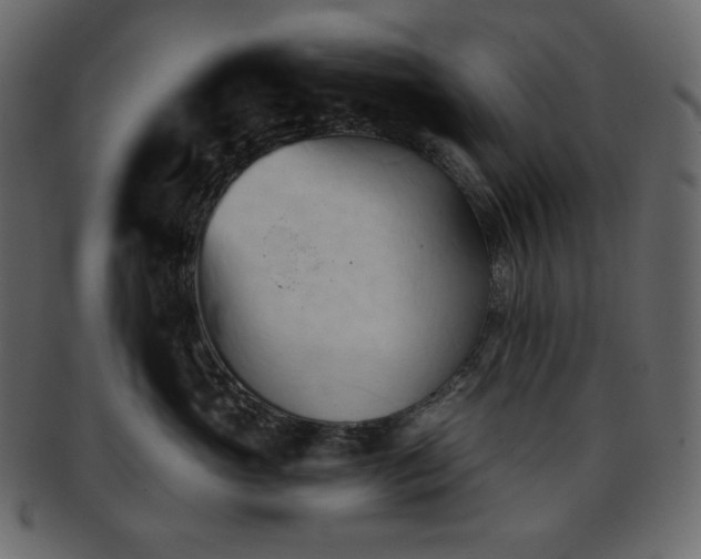 X0000093380765200710191134