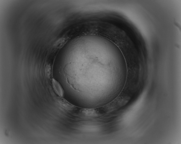 X0000093380767200710191134